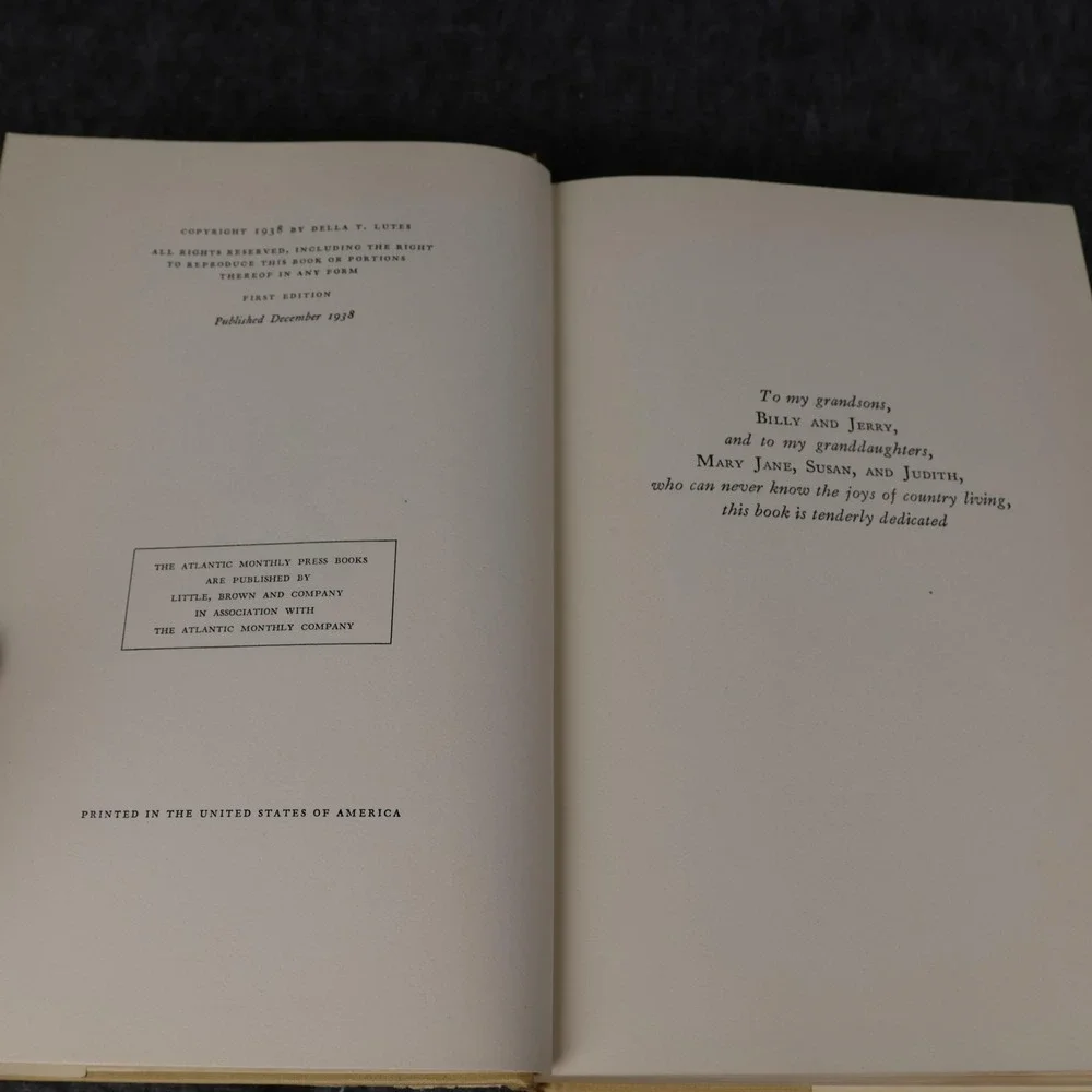 Vintage 1938 Millbrook Della T Lutes Blue HC DJ Little Brown USA Illustrated